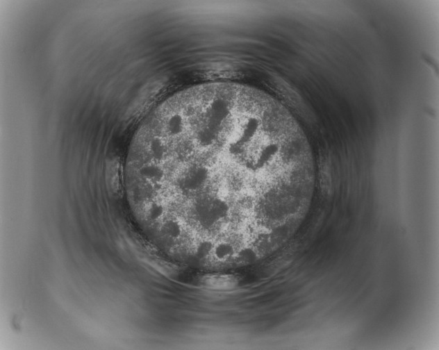 X0000102370169200808221747