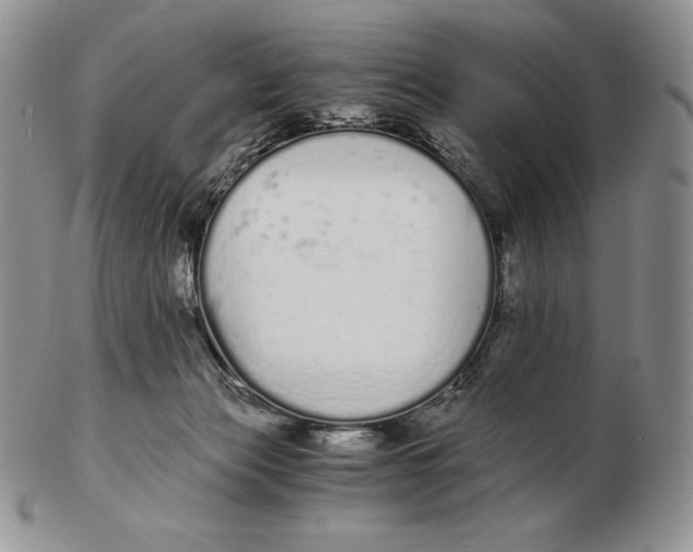 X0000102370173200808221747