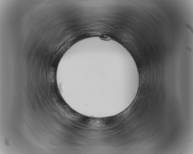 X0000102370174200808221747