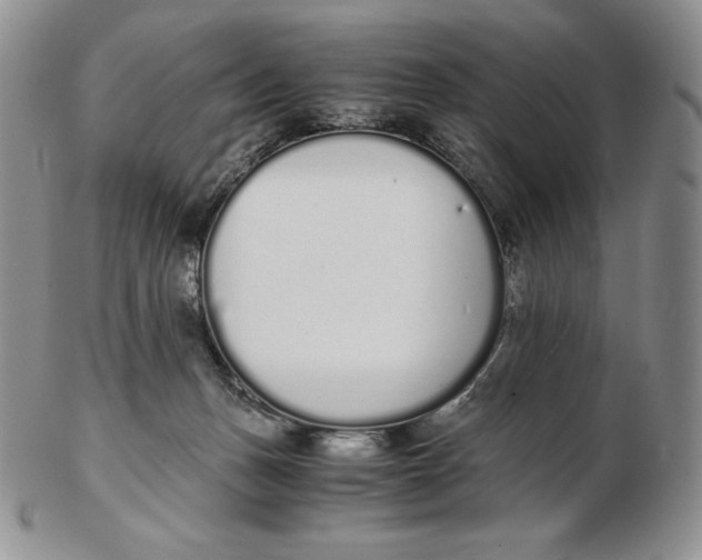 X0000102370175200808221747