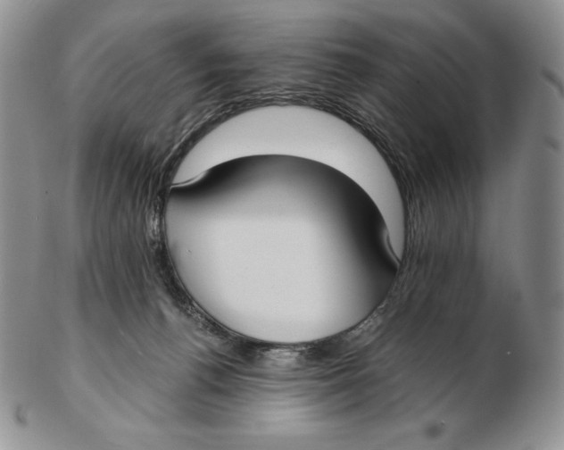 X0000102370176200808221747