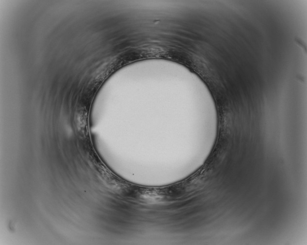 X0000102370177200808221747