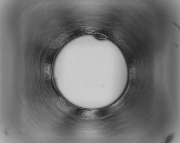 X0000102370178200808221747