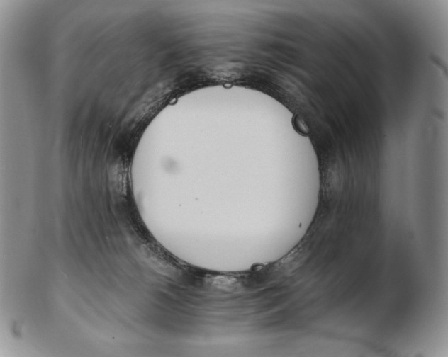 X0000102370180200808221747