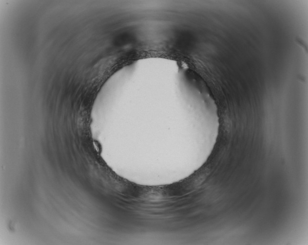 X0000102370181200808221747