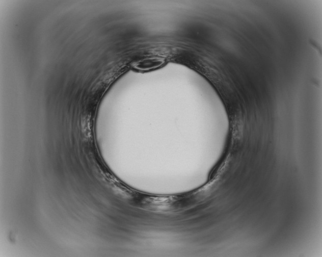 X0000102370182200808221747