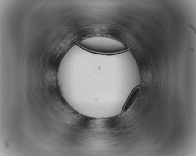 X0000102370184200808221747