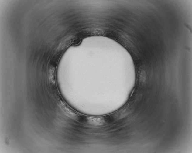 X0000102370185200808221747