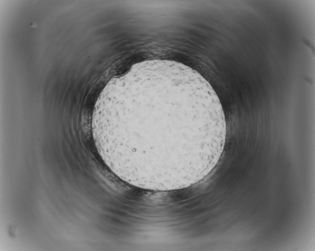 X0000102370186200808221747