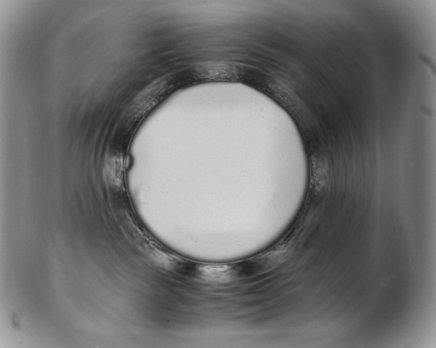 X0000102370189200808221747