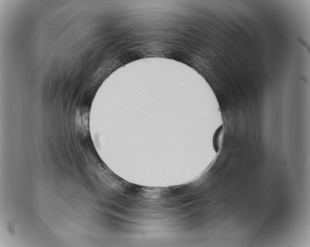 X0000102370190200808221747