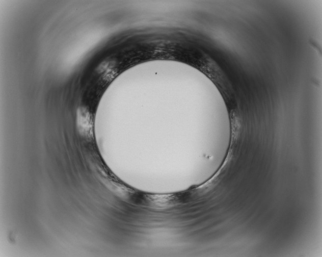 X0000102370191200808221747