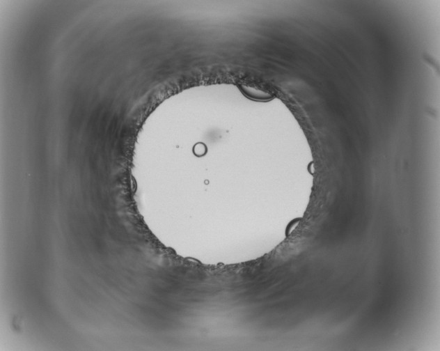 X0000102370192200808221747