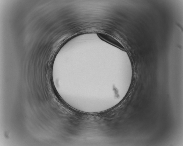 X0000102370193200808221747