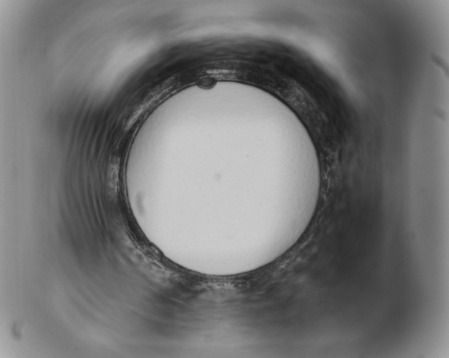 X0000102370194200808221747