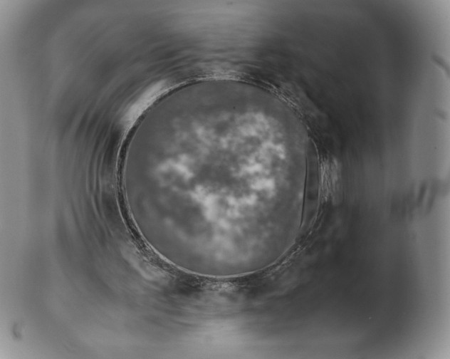 X0000102370195200808221747