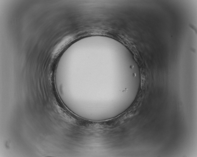 X0000102370197200808221747