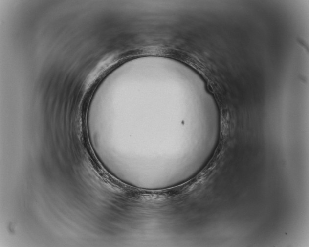 X0000102370198200808221747