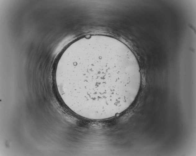 X0000102370199200808221747