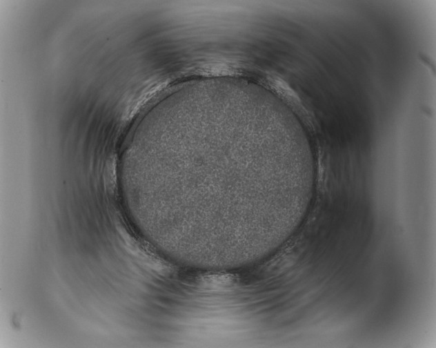 X0000102370202200808221747