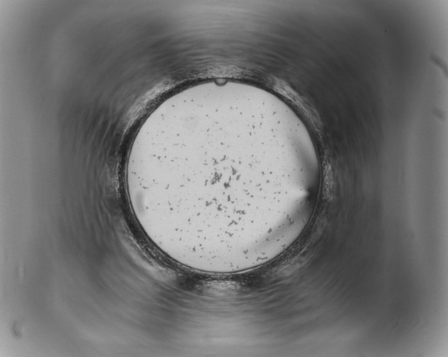 X0000102370203200808221747