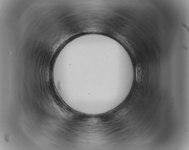 X0000102370204200808221747