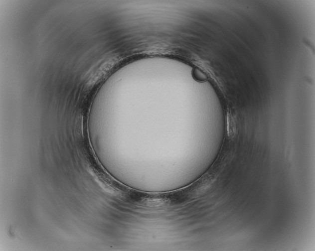 X0000102370205200808221747