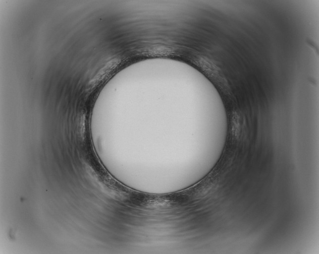 X0000102370206200808221747