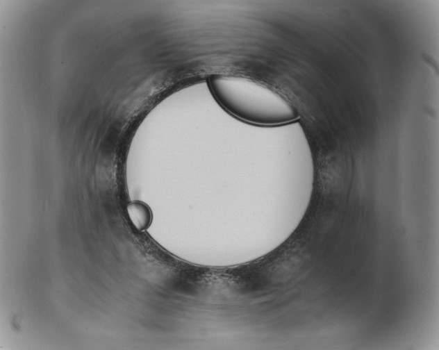 X0000102370207200808221747