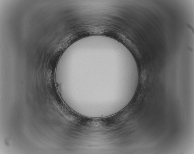 X0000102370209200808221747