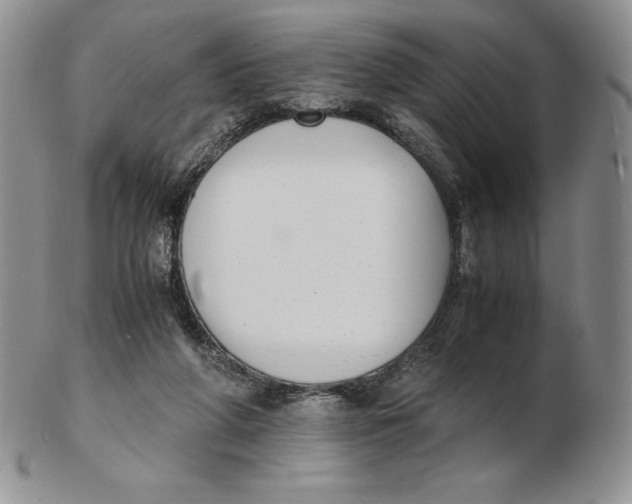 X0000102370210200808221746