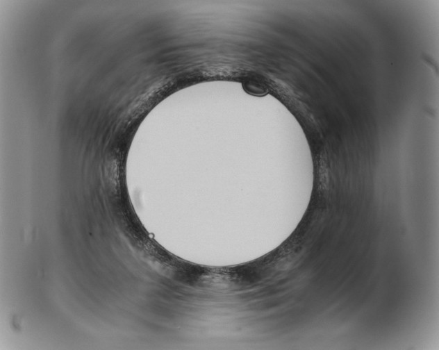 X0000102370211200808221746