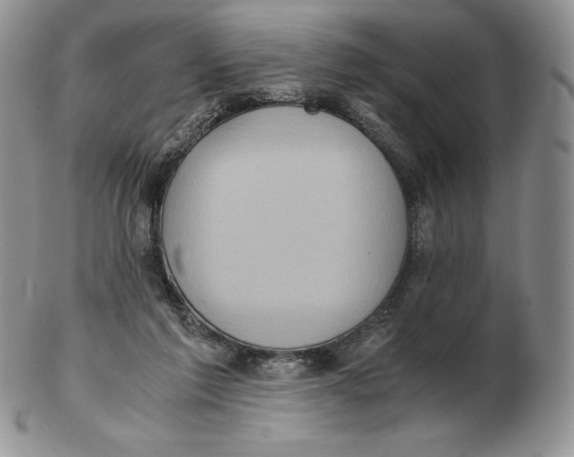 X0000102370213200808221746