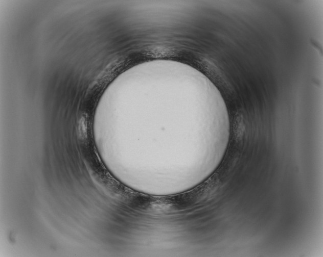 X0000102370214200808221746