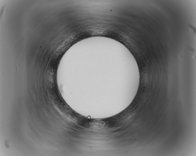 X0000102370215200808221746