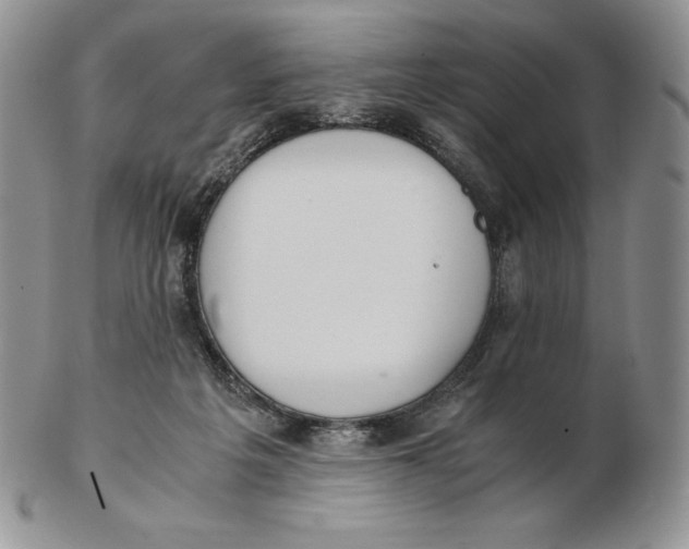 X0000102370217200808221746