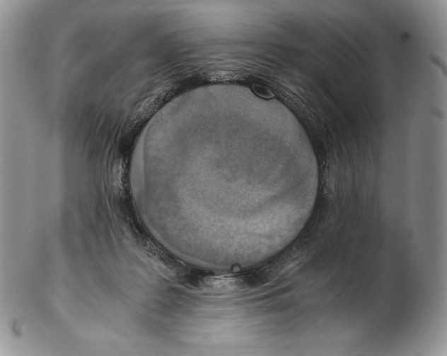 X0000102370219200808221746