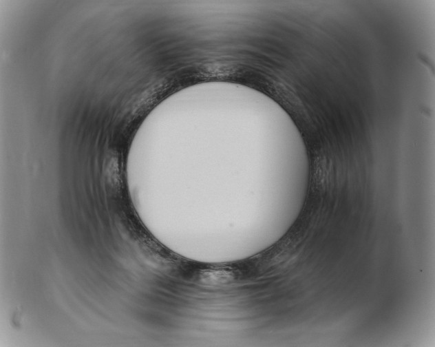 X0000102370220200808221746