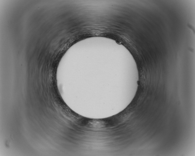 X0000102370221200808221746