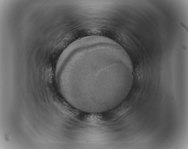 X0000102370223200808221746