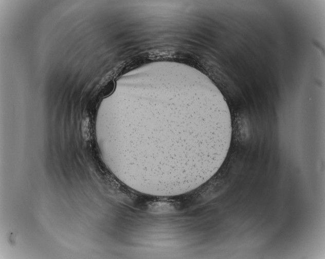 X0000102370224200808221746