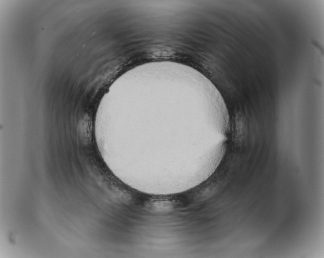 X0000102370228200808221746