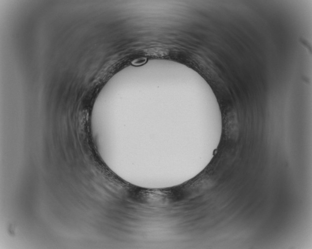 X0000102370229200808221746