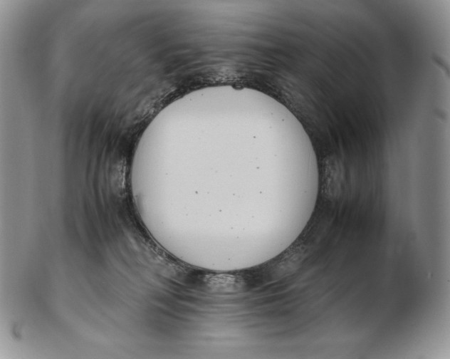 X0000102370230200808221746