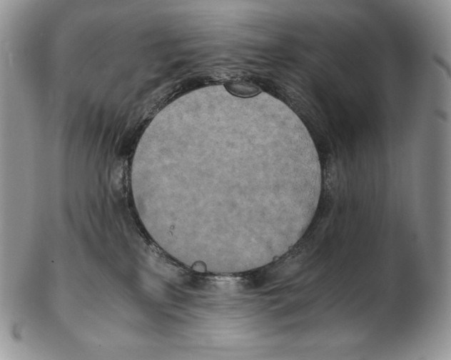 X0000102370233200808221746