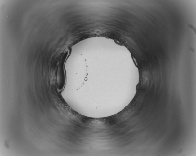 X0000102370236200808221746