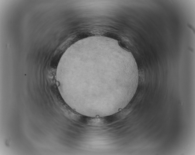 X0000102370237200808221746