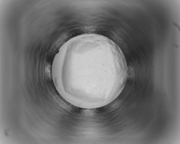 X0000102370238200808221746