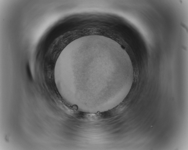 X0000102370239200808221746