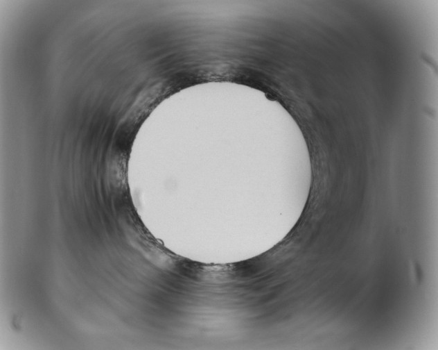 X0000102370240200808221746